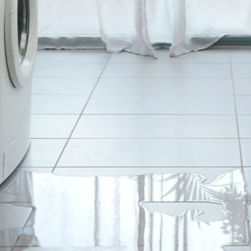 Appliance Leak Cleanup in Bloomfield, MO